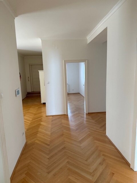 IMG 2553