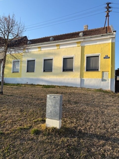 IMG 0597